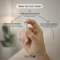 Nachtformule