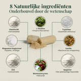 Nachtformule